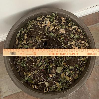 Homes and Gardens Bombay Decorative Planter
