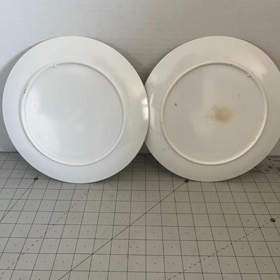 3 Set of Plates