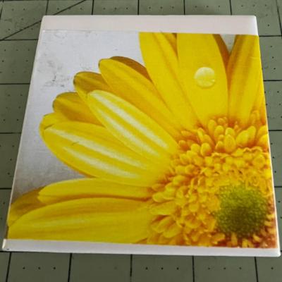 Variety of Ceramic Art Tiles