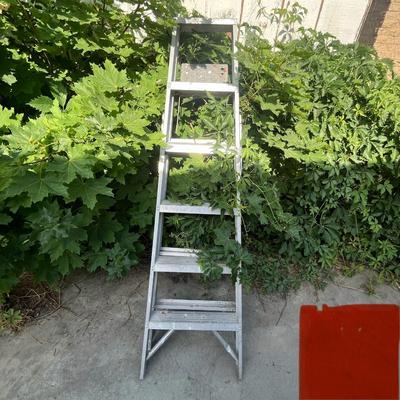 6 ft Aluminium Ladder