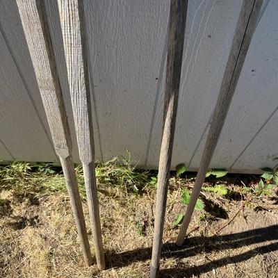 3 Sets of Garden Tools