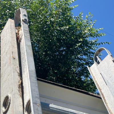 Extension Ladders