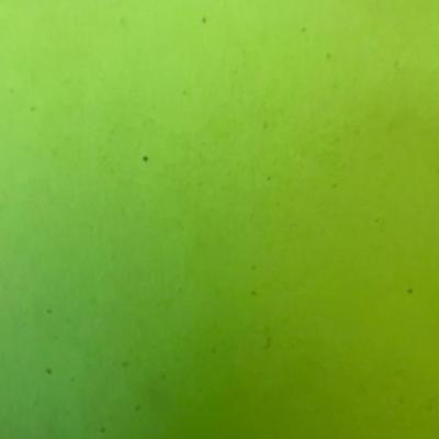 Easy Gardener Sun Screen Fabric (A)