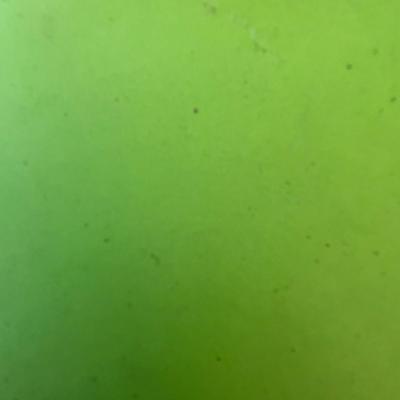 Rolled Aluminium /Tin Sheet