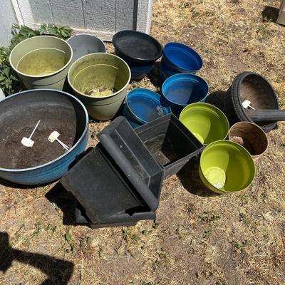 Variety of Plant Pots