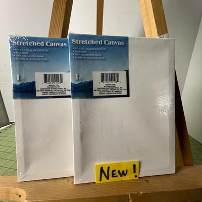 14 Canvas Boards & Easel