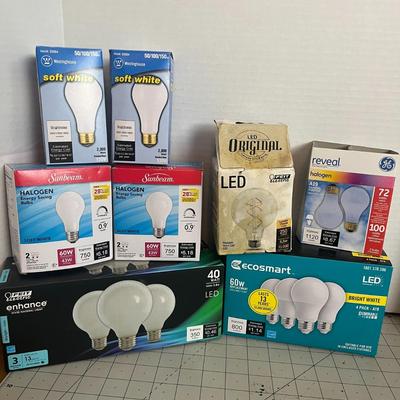 Variety of Light Bulbs