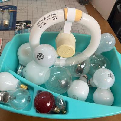 Variety of Light Bulbs