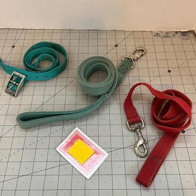 Pet Bowls and Set of Pet Leashes