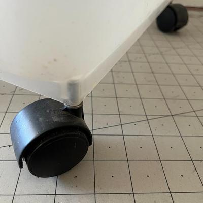 Dog Food Storage Container