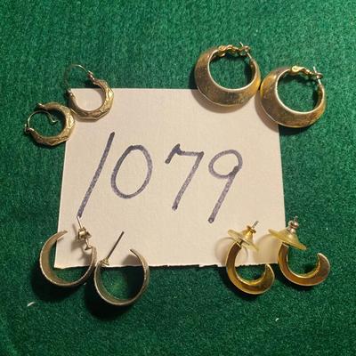 Pierced Earrings