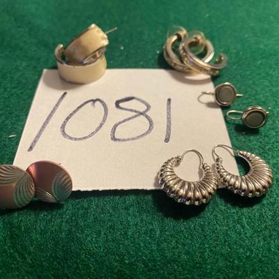 Pierced Earrings