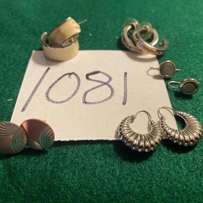 Pierced Earrings