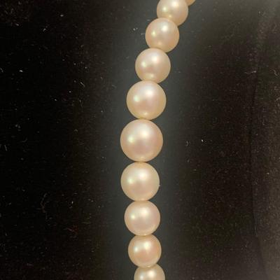 15” Pearl Necklace 10k Gold Clasp