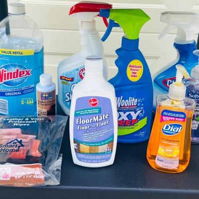 35+ Cleaning Supply Lot