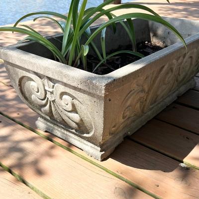 Pair (2) ~ Rectangular Cement Planters