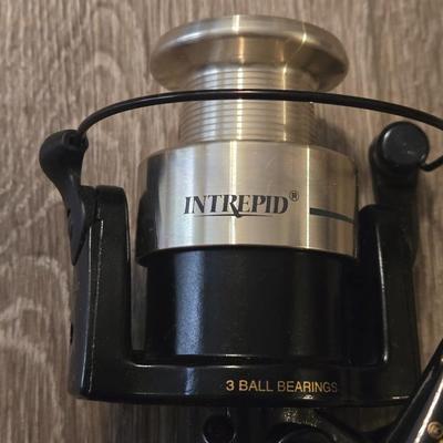 New Shakespeare Intrepid Reel