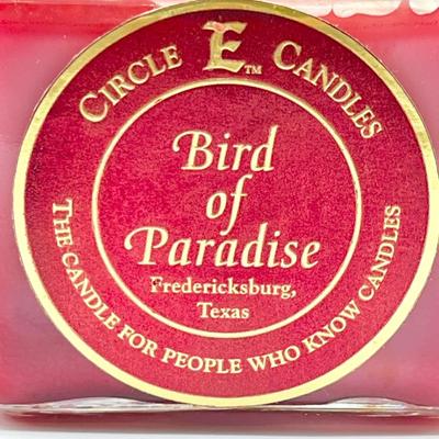 CIRCLE E CANDLE ~ Bird Of Paradise ~ Set Of Three (3)