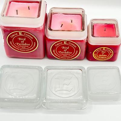 CIRCLE E CANDLE ~ Bird Of Paradise ~ Set Of Three (3)