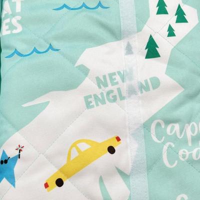 Pair (2) ~ Picnic Blankets