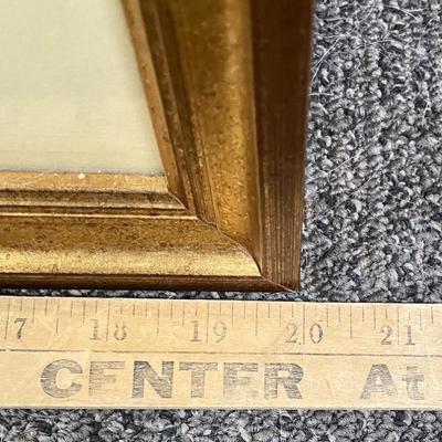 Framed Wall art 2 Botanical Peppers gold frame