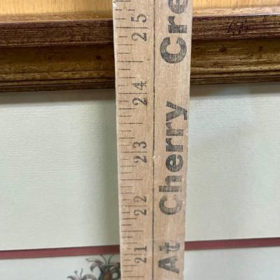 Framed Wall art 2 Botanical Peppers gold frame