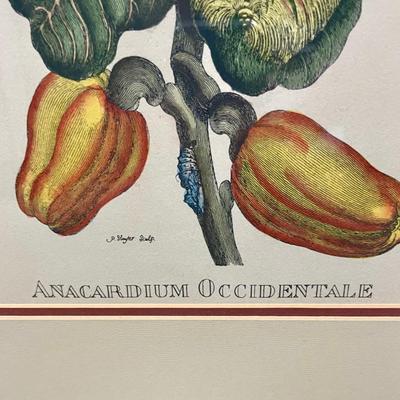 Framed Wall art 2 Botanical Peppers gold frame