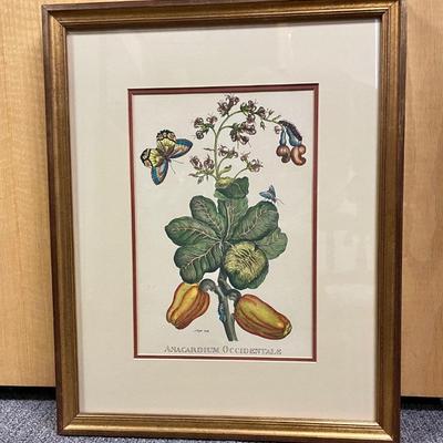 Framed Wall art 2 Botanical Peppers gold frame