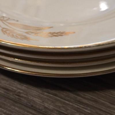 Prairie Gold Ohio China Set