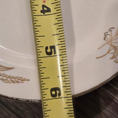Prairie Gold Ohio China Set