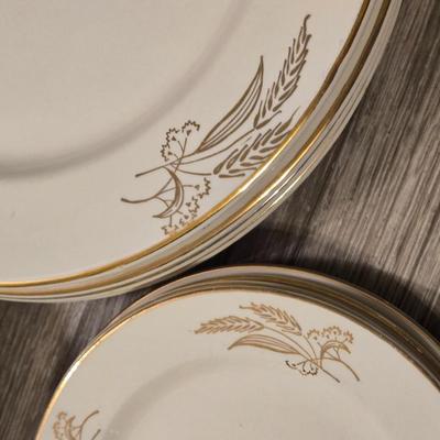 Prairie Gold Ohio China Set