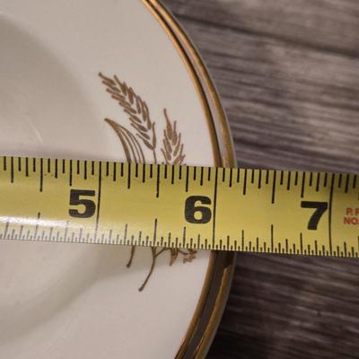 Prairie Gold Ohio China Set