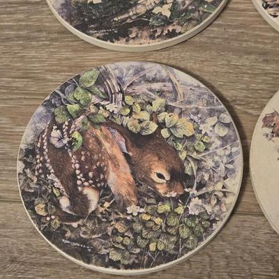 Animal Coaster Set