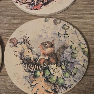 Animal Coaster Set