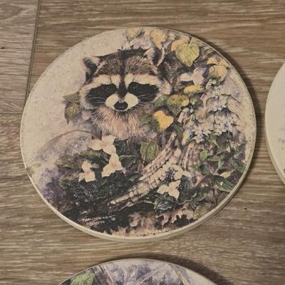 Animal Coaster Set