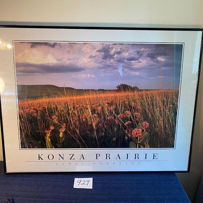 Konza Prairie Poster