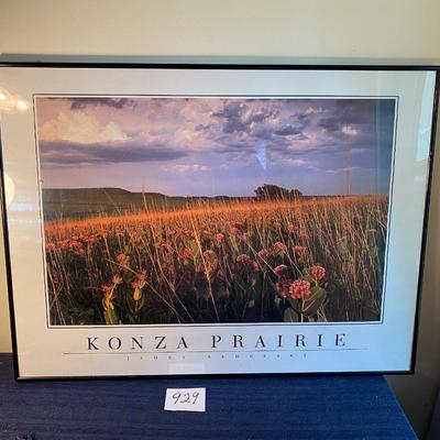 Konza Prairie Poster