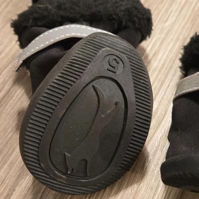 Large Pet Coat and Booties