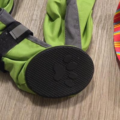 Pet Booties, Collars, and Leashes