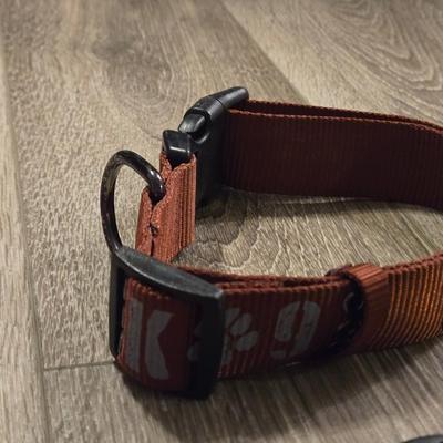 Leashes and Collars