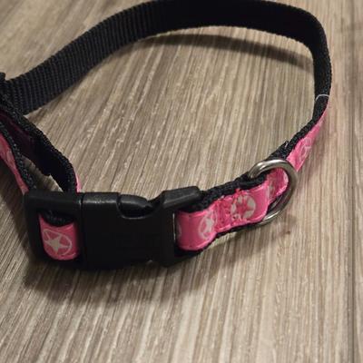 Leashes and Collars