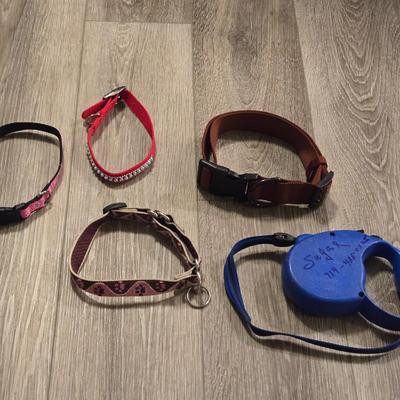 Leashes and Collars
