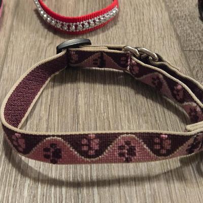 Leashes and Collars