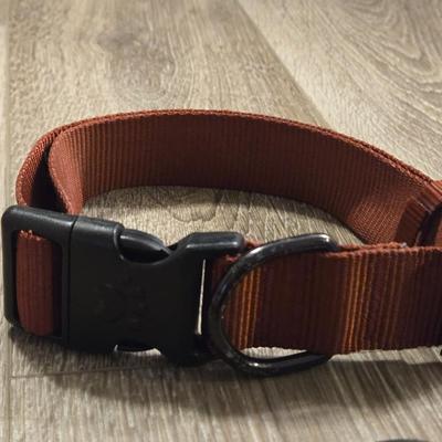 Leashes and Collars