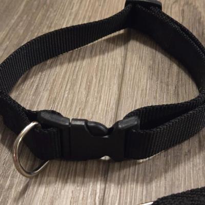 Leashes and Collars
