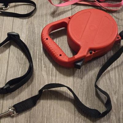 Leashes and Collars