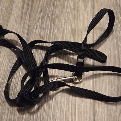 Leashes and Collars