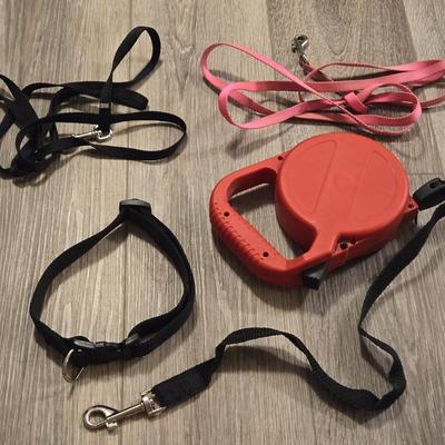 Leashes and Collars