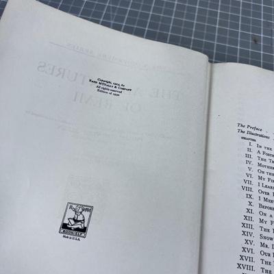 Rare old Book; ADVENTURES OF REMI 