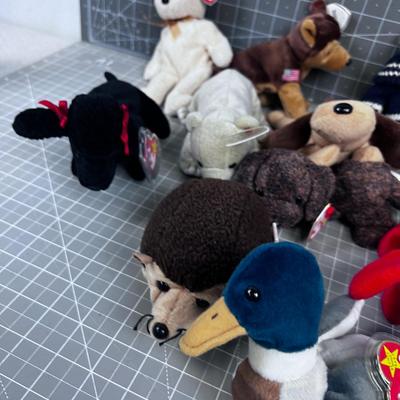 15 Beanie Babies Including "PINCHERS" Lobster, Highly Collectible and Valuable. 